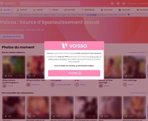 Voissa